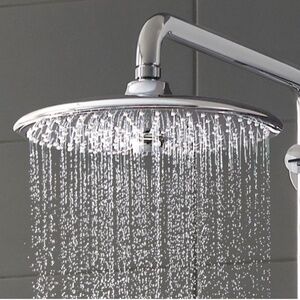 GROHE Euphoria Rain 10 inch 3 Spray Showerhead